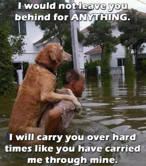 Man Carries Dog